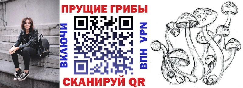 Псилоцибиновые грибы прущие грибы  KRAKEN рабочий сайт  Козельск 